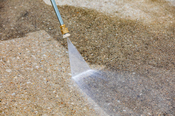 Best Dumpster Area Cleaning  in St Augustine, FL