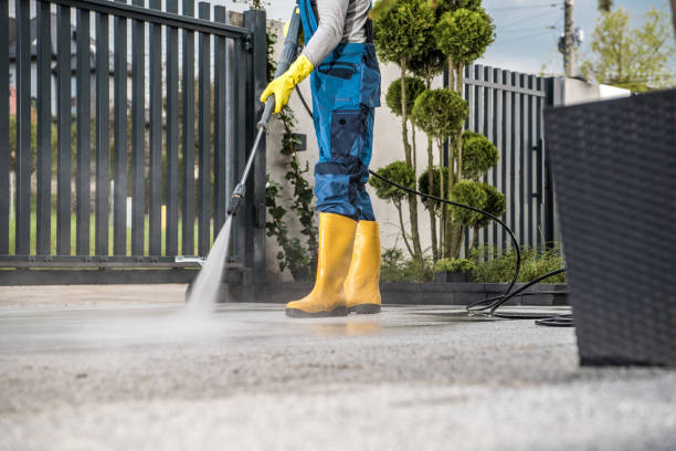 Best Animal Enclosure Cleaning  in St Augustine, FL