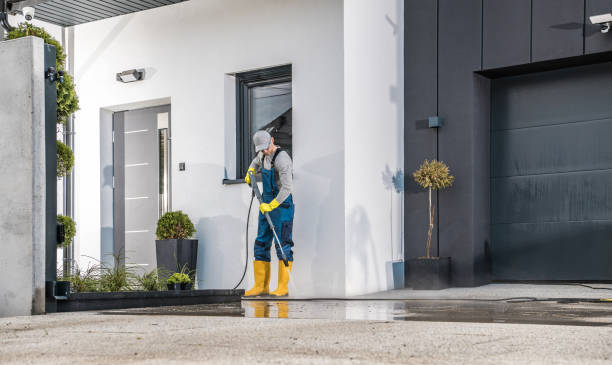 Best Fleet Vehicle Washing  in St Augustine, FL